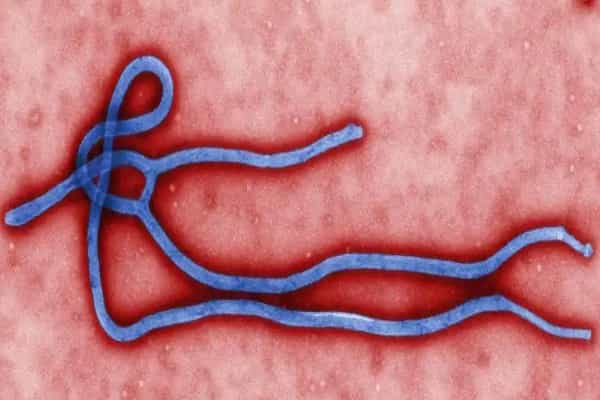 Types, Prevention and Treatmen